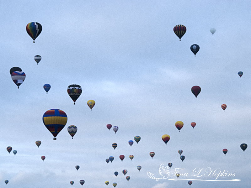 Hot Air Balloon Fair