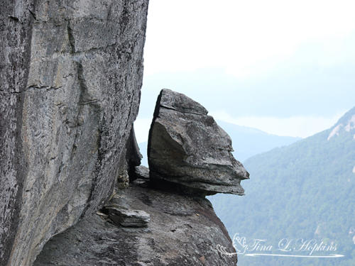 Devil's Head Rock at Chimney Rock