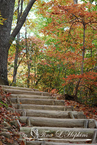 Chimney Rock Stairs