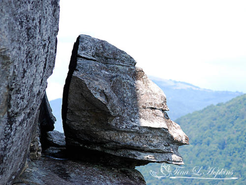 Devil's Head Rock at Chimney Rock