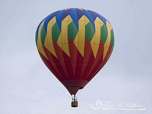 Hot Air Balloon 