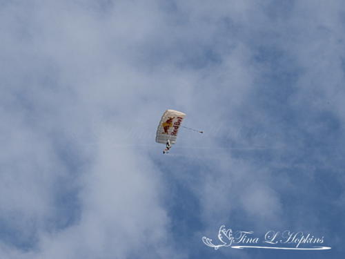 Sky Diver 