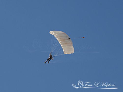 Sky Diver 