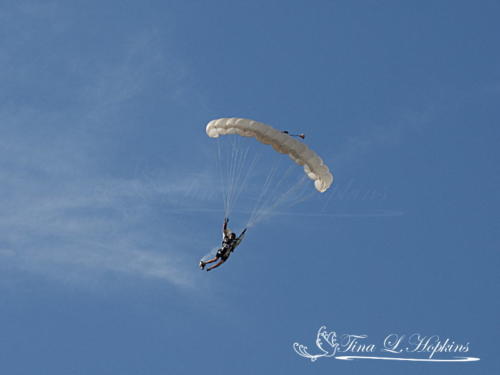 Sky Diver 