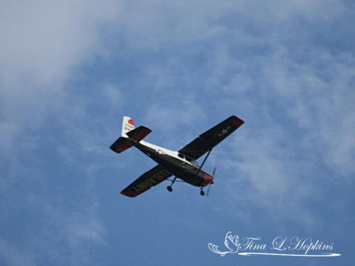 Red Bull Airplane 
