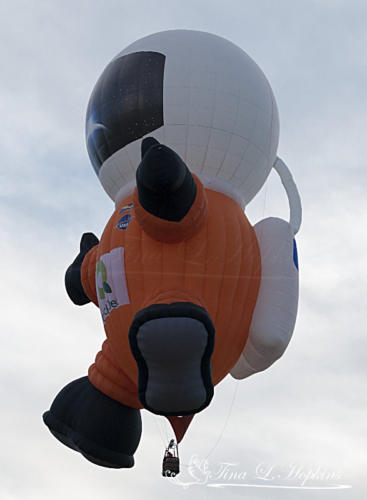 Astronaut 