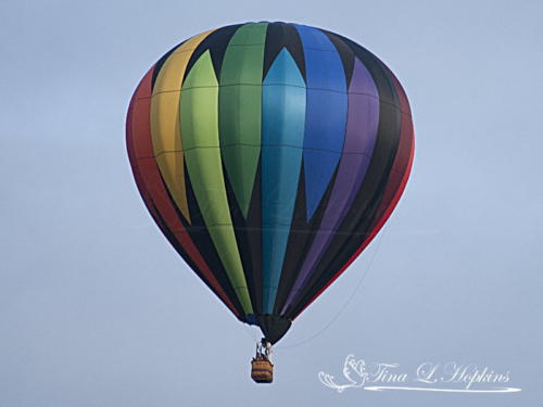 Hot Air Balloon 