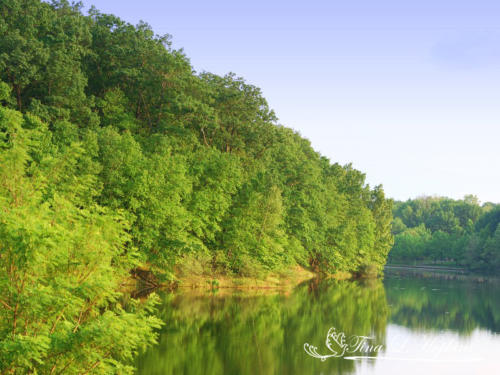 Round Valley Reservoir NJ