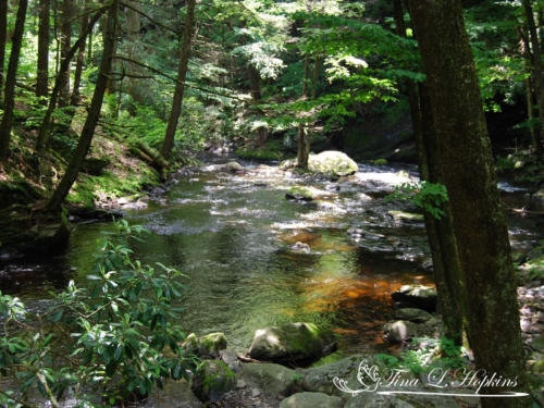 Bushkill Falls - Poconos PA