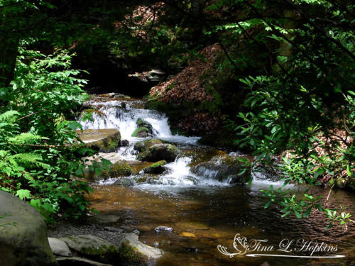 Bushkill Falls - Poconos PA