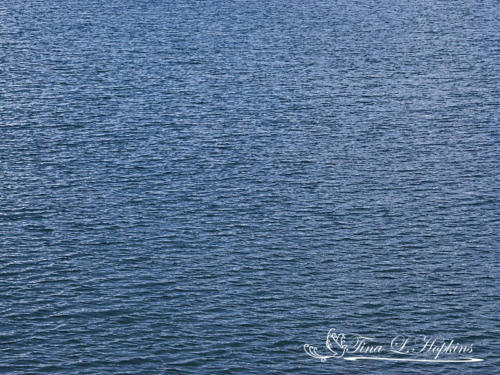 Round Valley Reservoir NJ