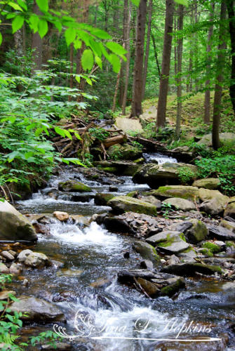 Bushkill Falls - Poconos PA