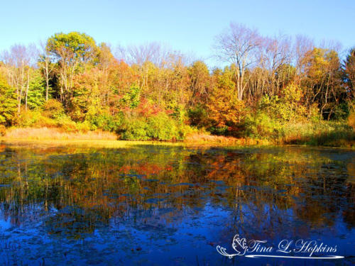 Round Valley Reservoir NJ