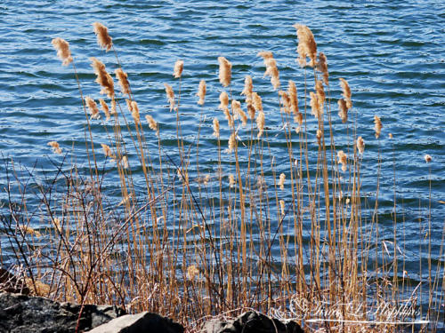 Round Valley Reservoir NJ